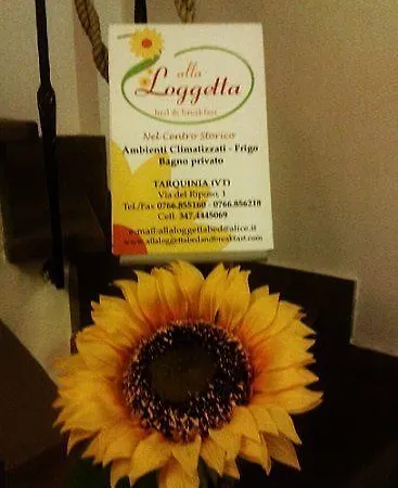 Loggetta 3* 塔尔奎尼亚